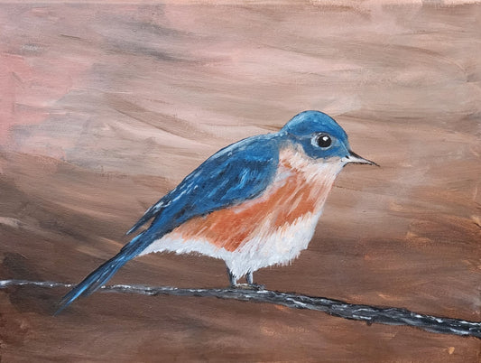 Virginia Bluebird